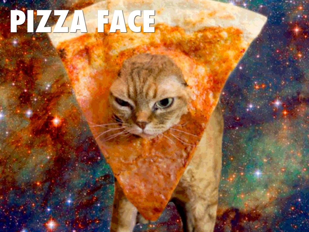 Pizza Cat Wallpaper Free Pizza Cat Background