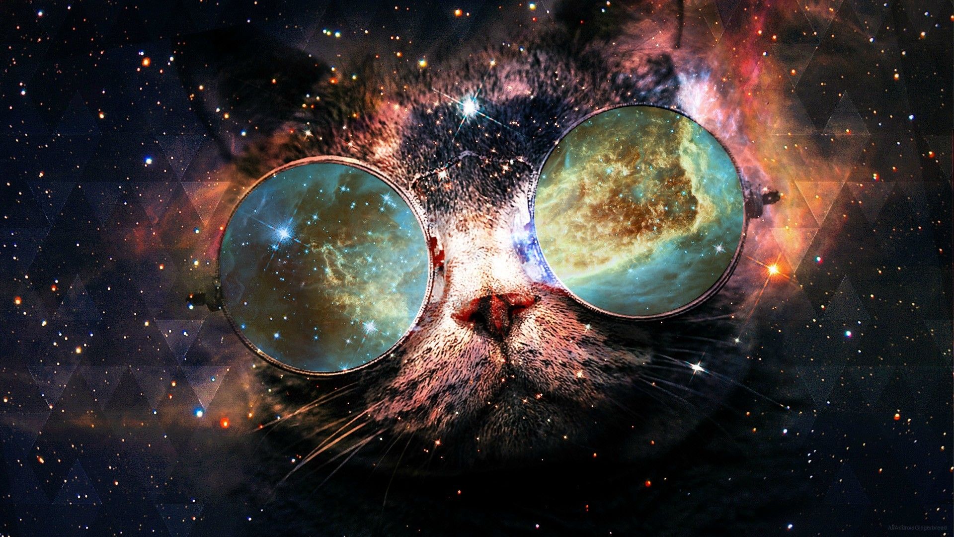 Cats in Space Wallpaper Free Cats in Space Background