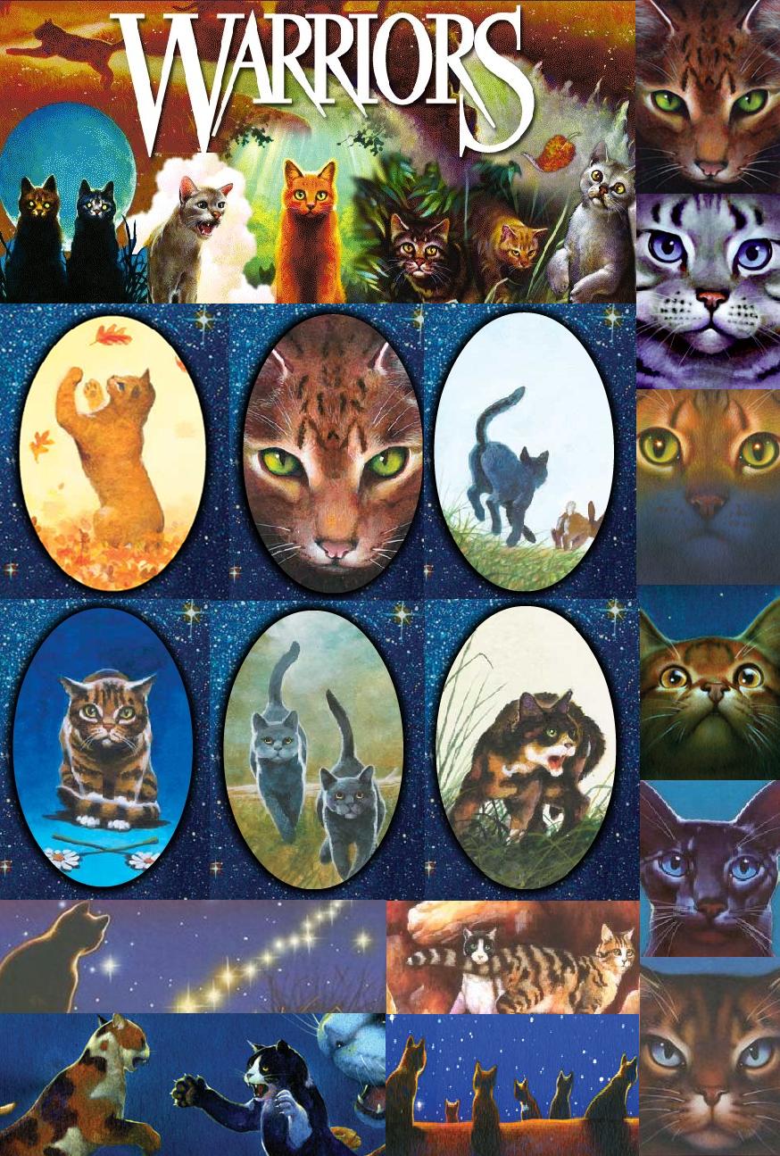 Warriors Cats Cats Cats Wallpaper iPhone