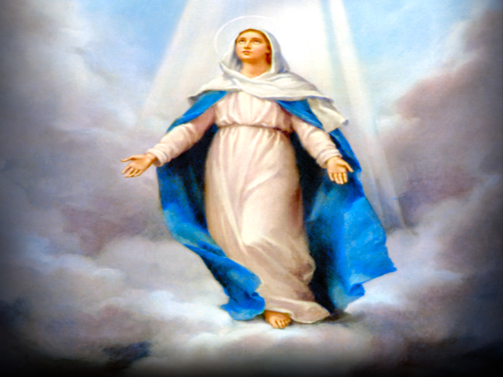 Holy Mass image.: THE ASSUMPTION OF THE BLESSED VIRGIN MARY INTO HEAVEN