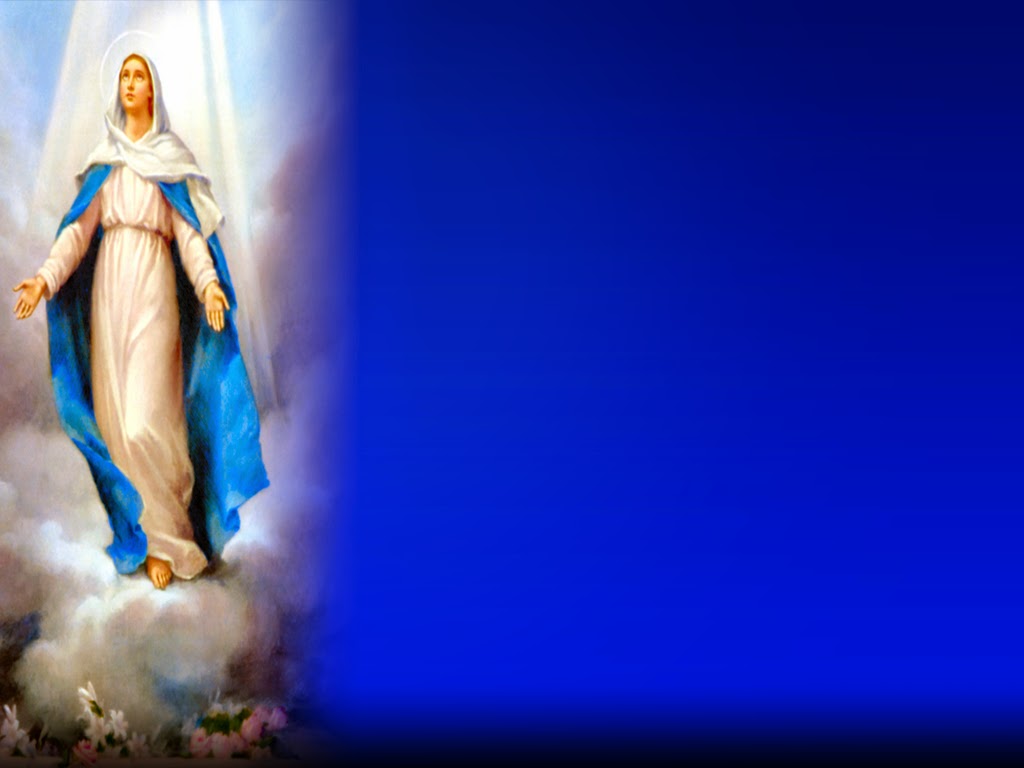 Free download Holy Mass image Blessed Virgin Mary Assumption [1024x768] for your Desktop, Mobile & Tablet. Explore Holy Mary Wallpaper. Holy Mary Wallpaper, Holy Mary Mother Wallpaper, Wallpaper Holy
