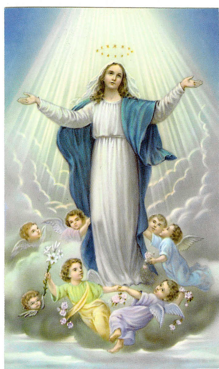 Free download Devaso Mog The Assumption of the Blessed Virgin Mary into [713x1201] for your Desktop, Mobile & Tablet. Explore Holy Mary Wallpaper. Holy Mary Wallpaper, Holy Mary Mother
