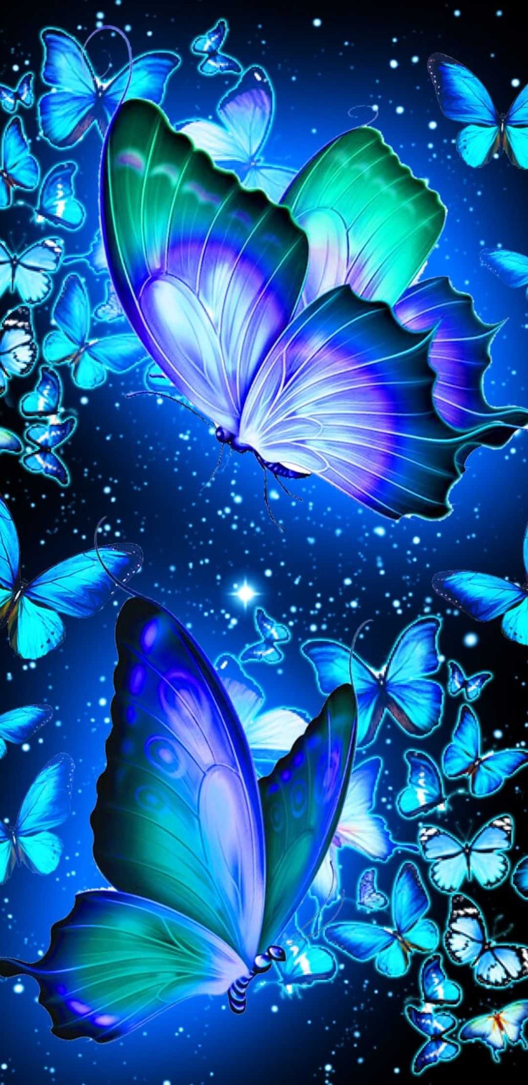 HD Butterfly Wallpaper Free HD Wallpaper