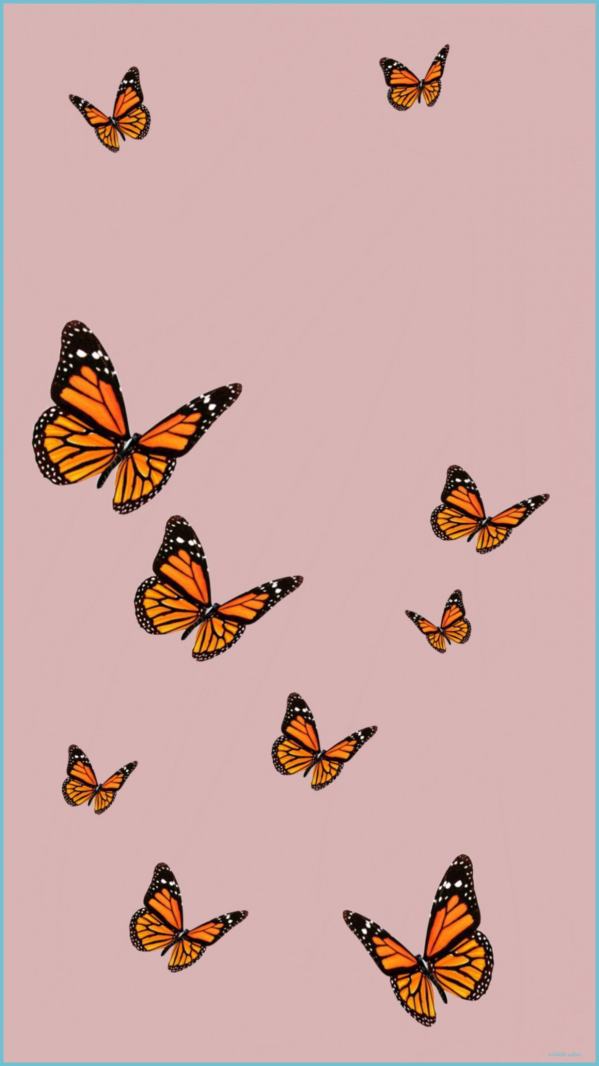 You Will Never Believe These Bizarre Truth Of Cute Butterfly Wallpaper. Cute Butterfly Wallpaper