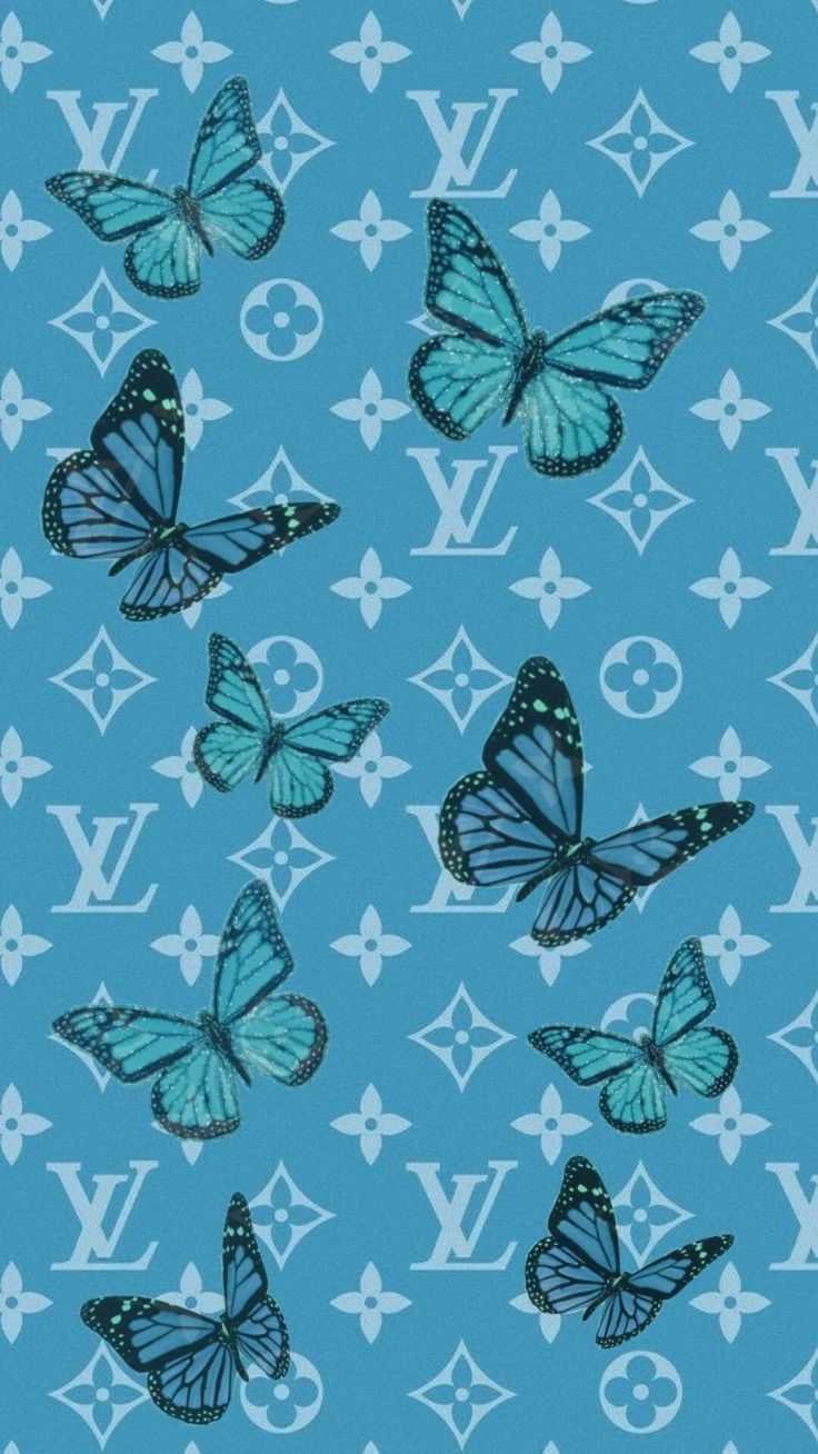 Blue Butterfly Wallpaper Free HD Wallpaper