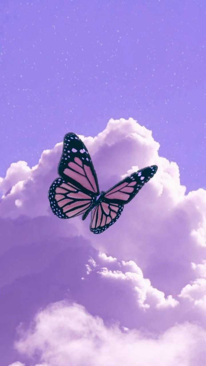 The Butterfly Wallpapers - Wallpaper Cave