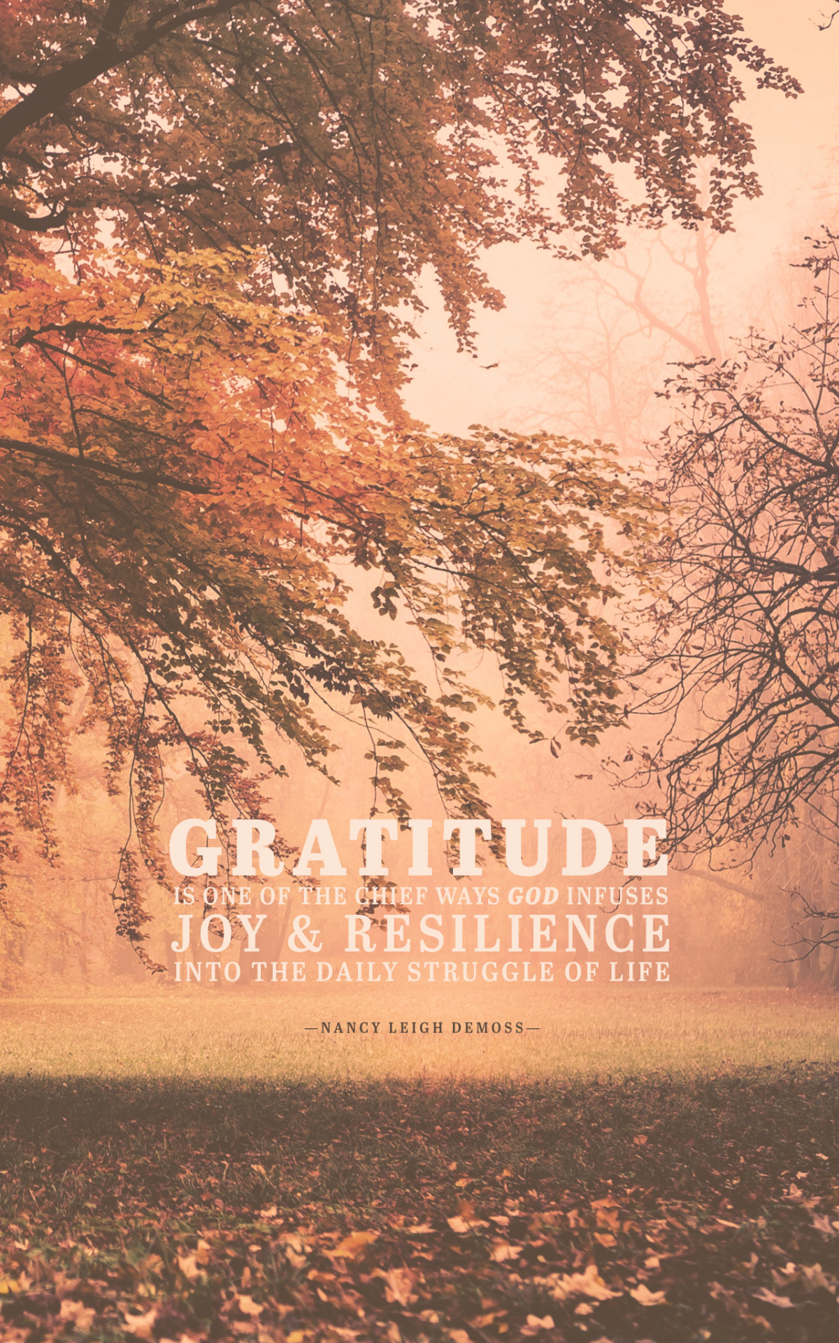 Free download Wednesday Wallpaper Gratitude Brings Joy and Resilience Jacob [2048x2048] for your Desktop, Mobile & Tablet. Explore Gratitude Wallpaper. Gratitude Wallpaper