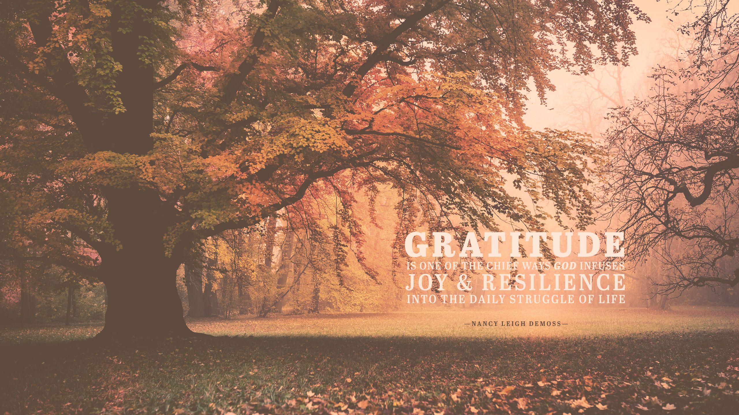 Free download Wednesday Wallpaper Gratitude Brings Joy and Resilience Jacob [2560x1440] for your Desktop, Mobile & Tablet. Explore Gratitude Wallpaper. Gratitude Wallpaper