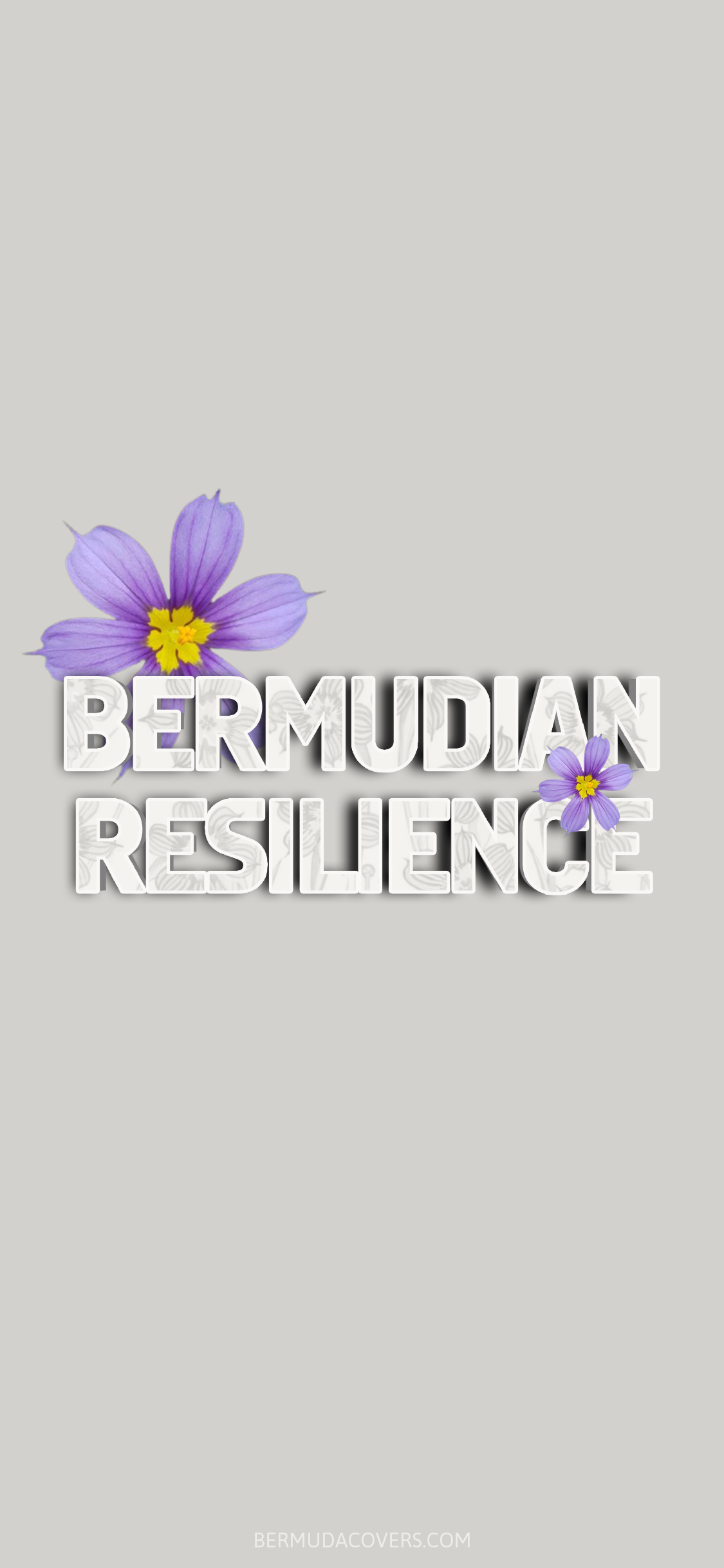 Wallpaper Wednesday: Bermudian Resilience III