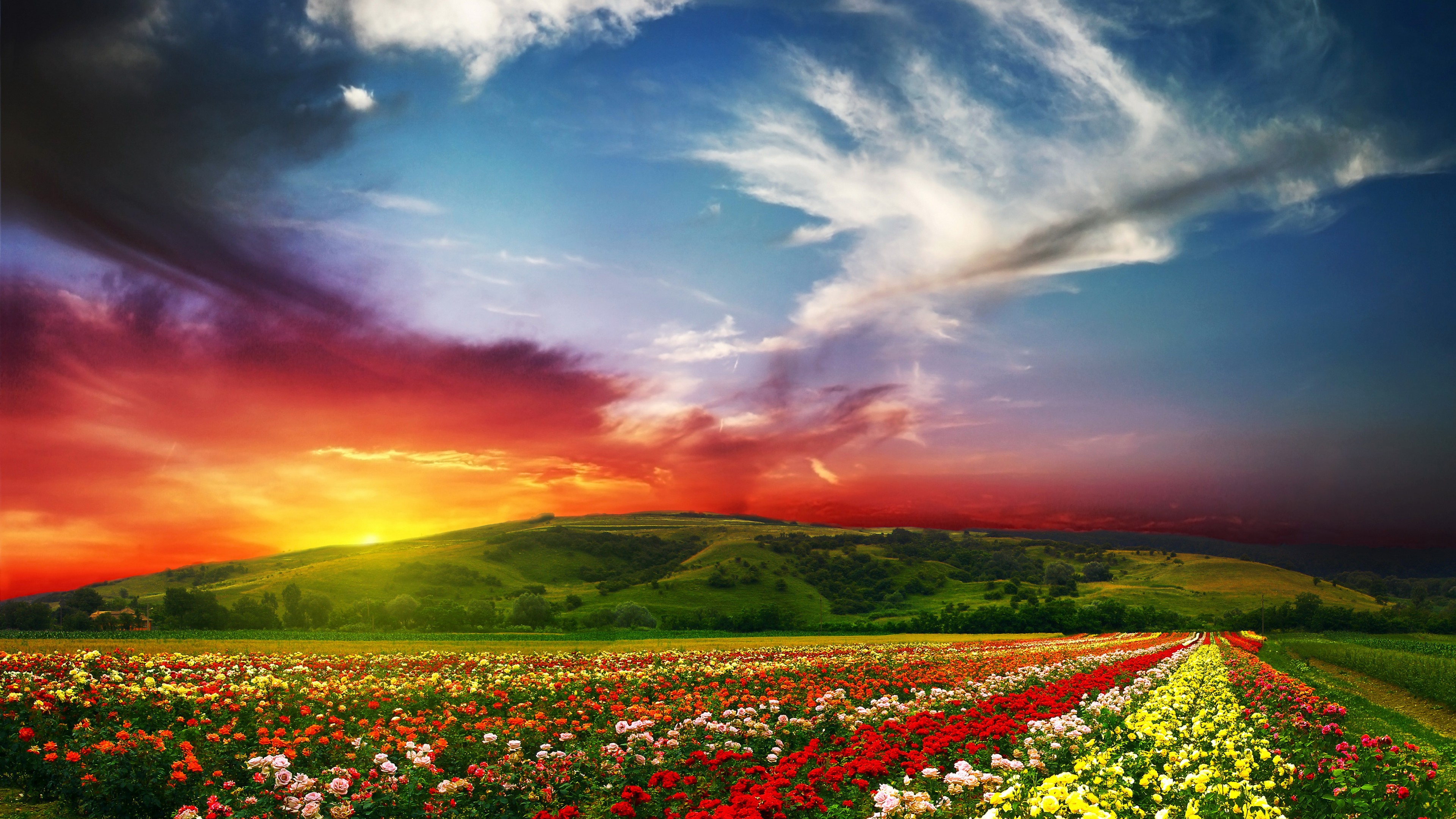 Wallpaper India, 5k, 4k wallpaper, Valley of Flowers, Meadows, roses, sunset, clouds, Nature