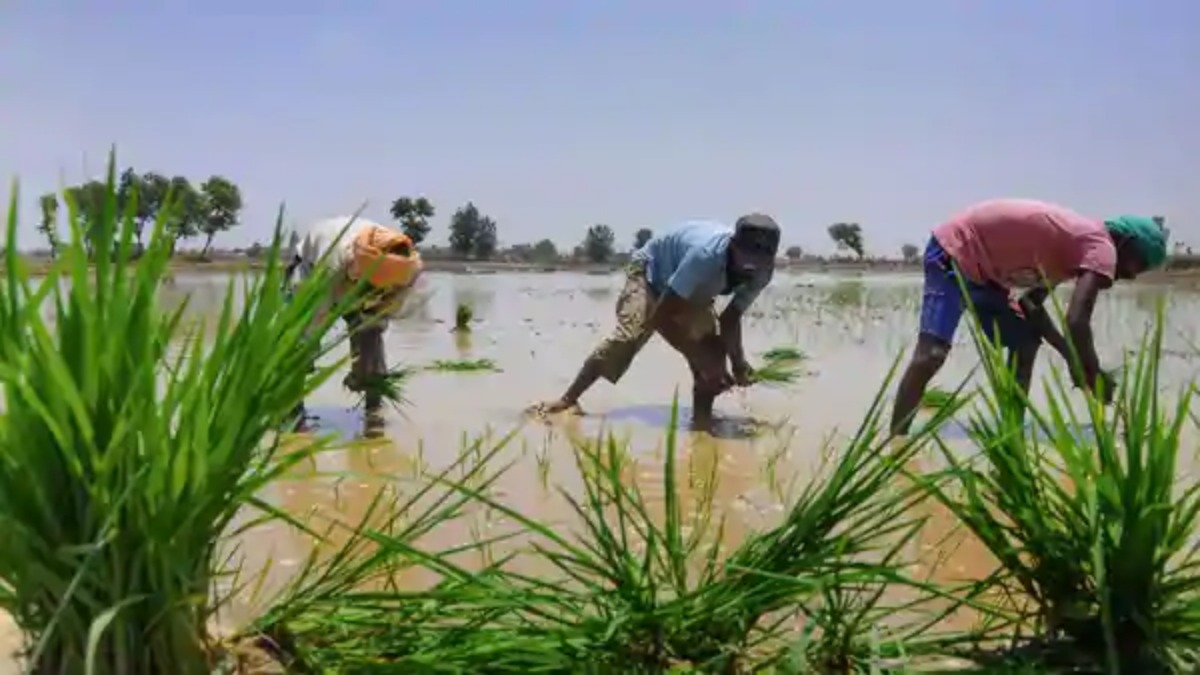 Agriculture holds the key, pandemic an opportunity for India: Economists at World Economic Forum