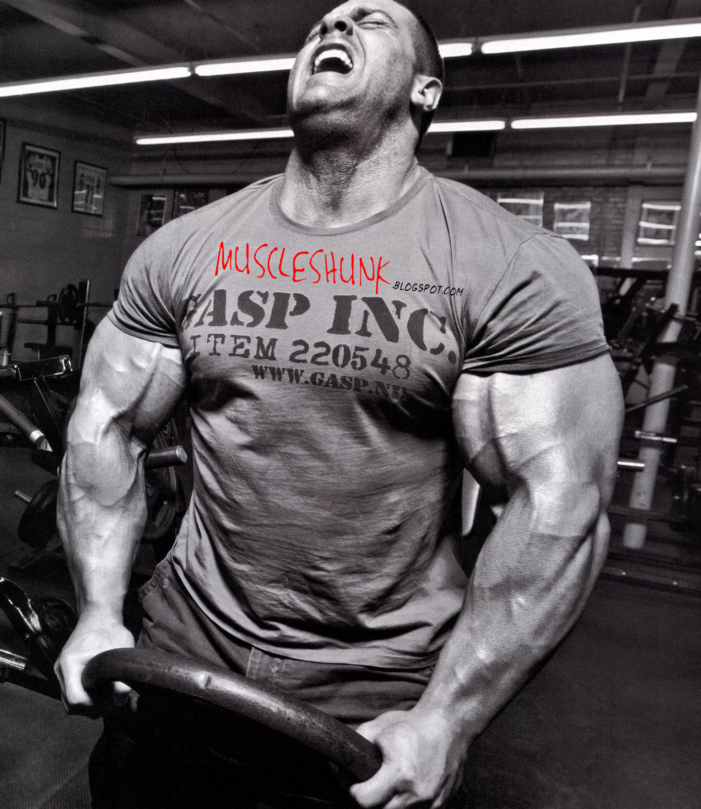 Bodybuilding Junction: Evan Centopani IFBB Pro Bodybuilder Profile and Photo