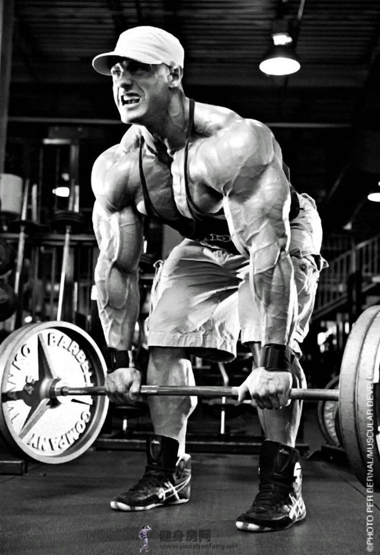 Evan Centopani- Wallpaper HD. Bodybuilding picture, Body building men, Bodybuilding workouts