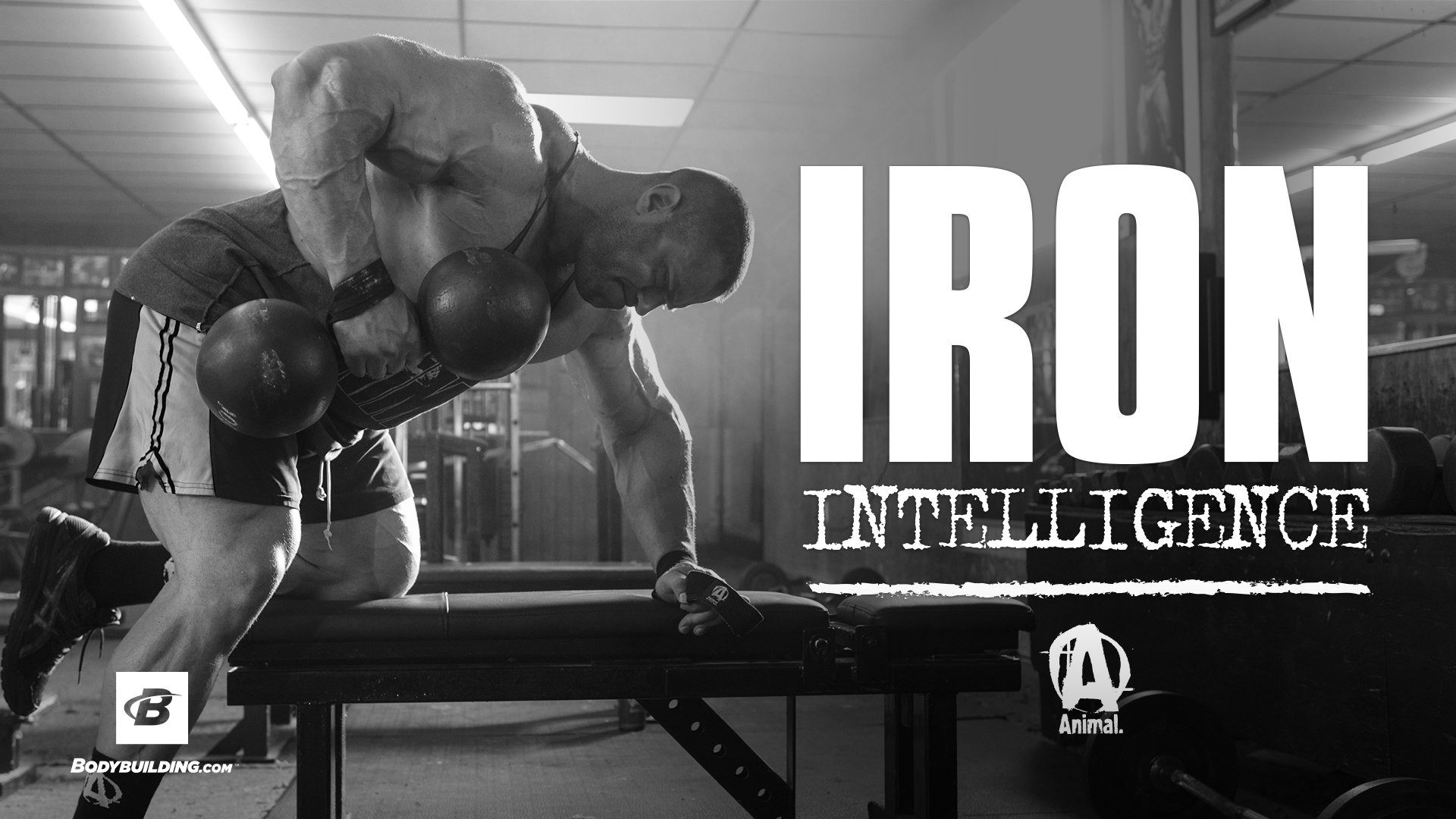 Iron Intelligence. Evan Centopani's Muscle Building Plan