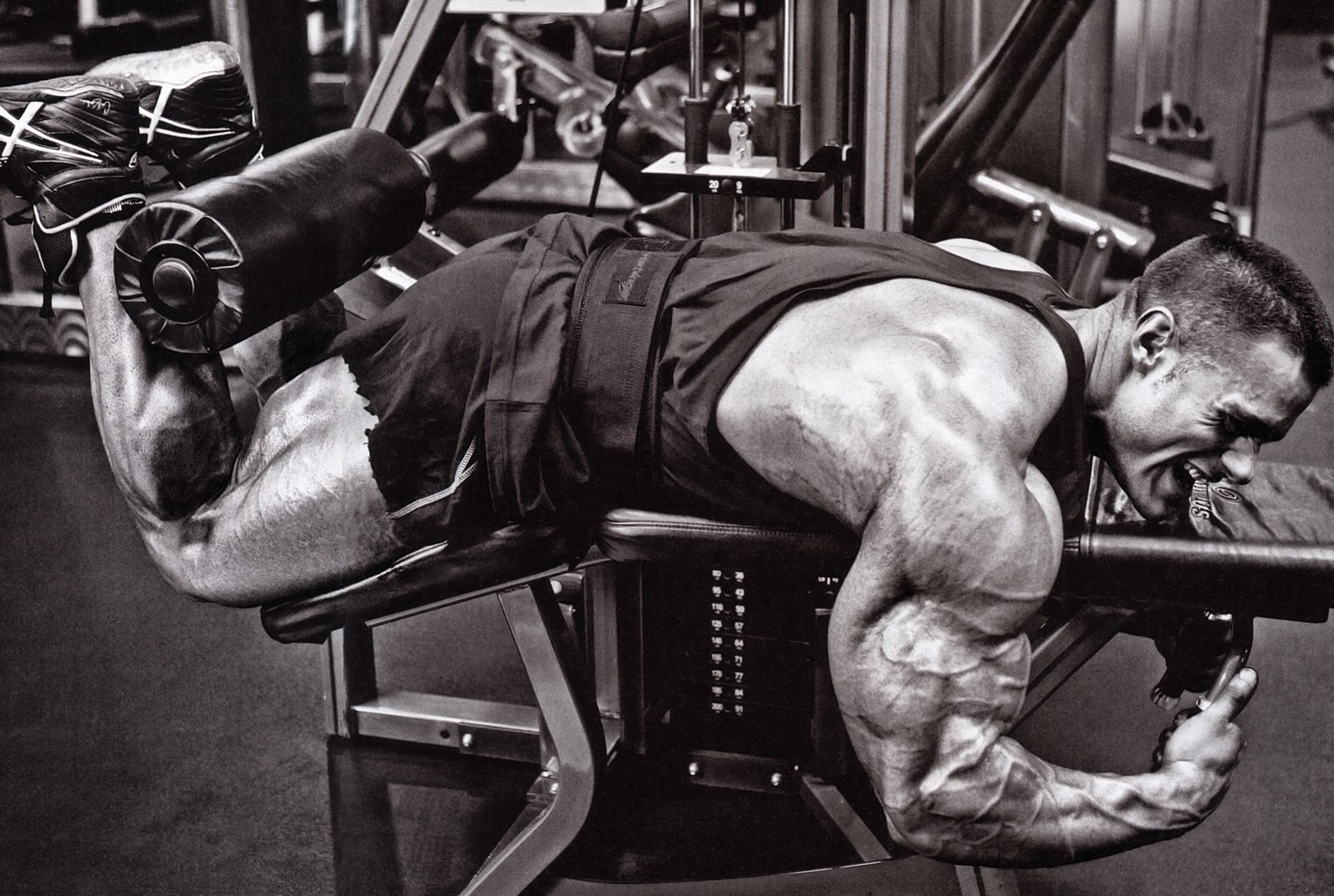 tribu muscu the bodybuilders centopani road to arnold classic 2012