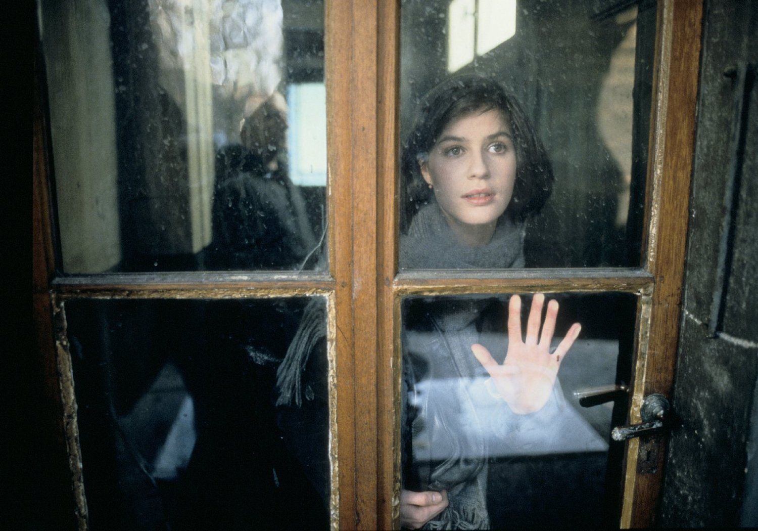 Three Colors: Red. Vintage film, Film inspiration, Krzysztof kieslowski