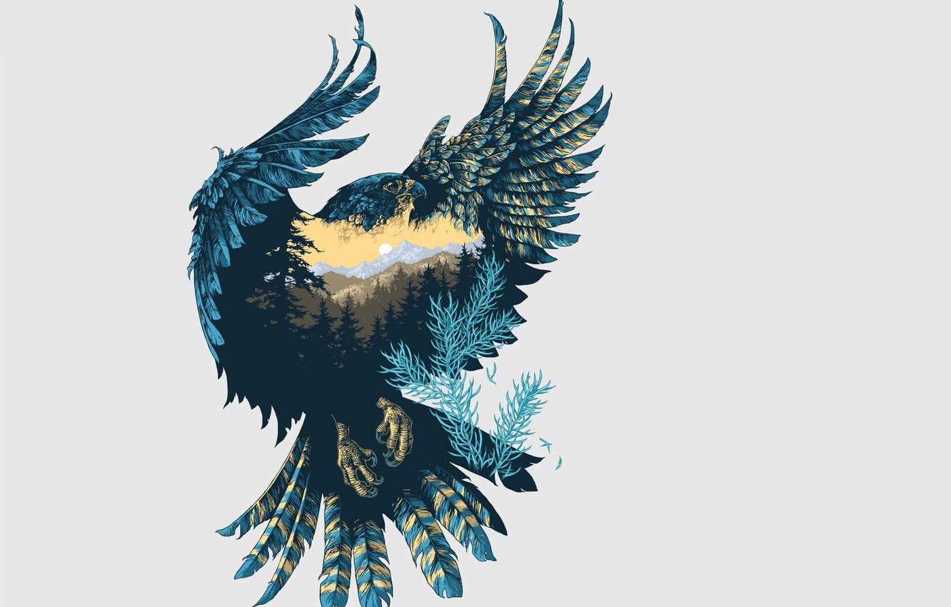 Wallpaper nature, background, bird, wings, art, Falcon image for desktop, section животные