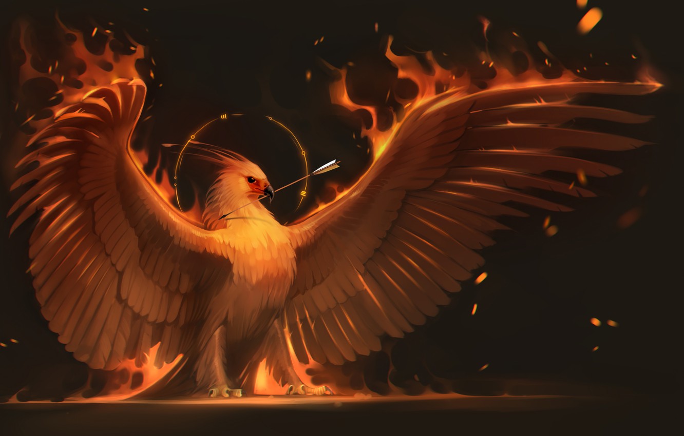 Wallpaper fire, bird, wings, art, arrow, Phoenix, phoenix image for desktop, section фантастика