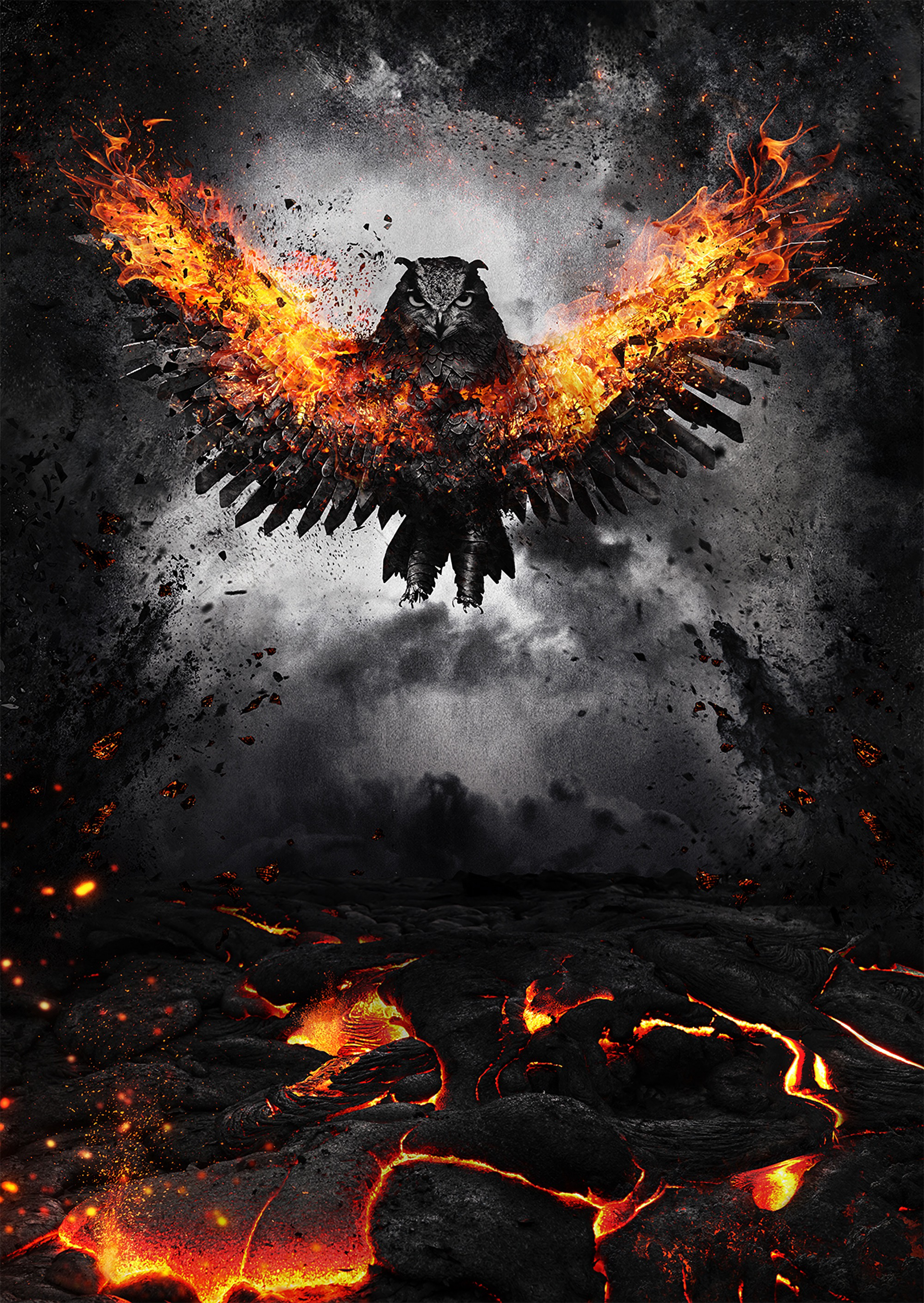 Wallpaper Owl, Bird, Fire, Wings, Flap Of Fire Wings HD