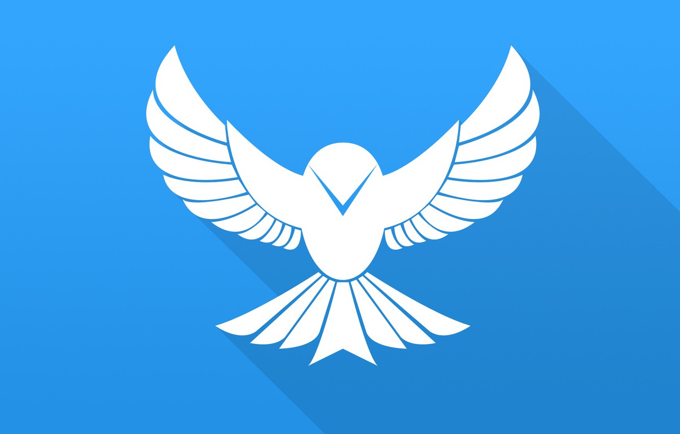 Wallpaper bird, wings, vector, bird, blue, flat image for desktop, section минимализм
