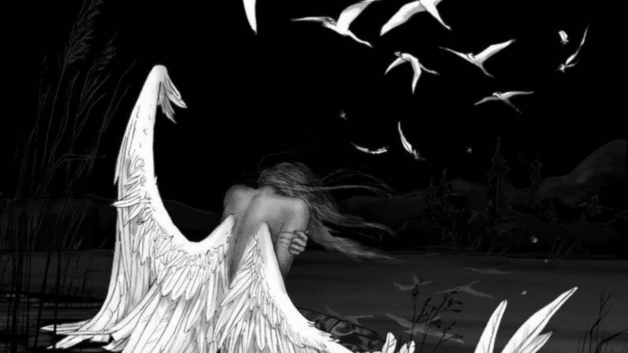 Angel fairy wings girl fantasy bird wallpaperx1080