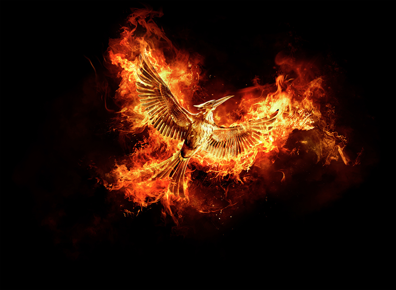 Photos The Hunger Games Birds Wings Mockingjay flame Movies