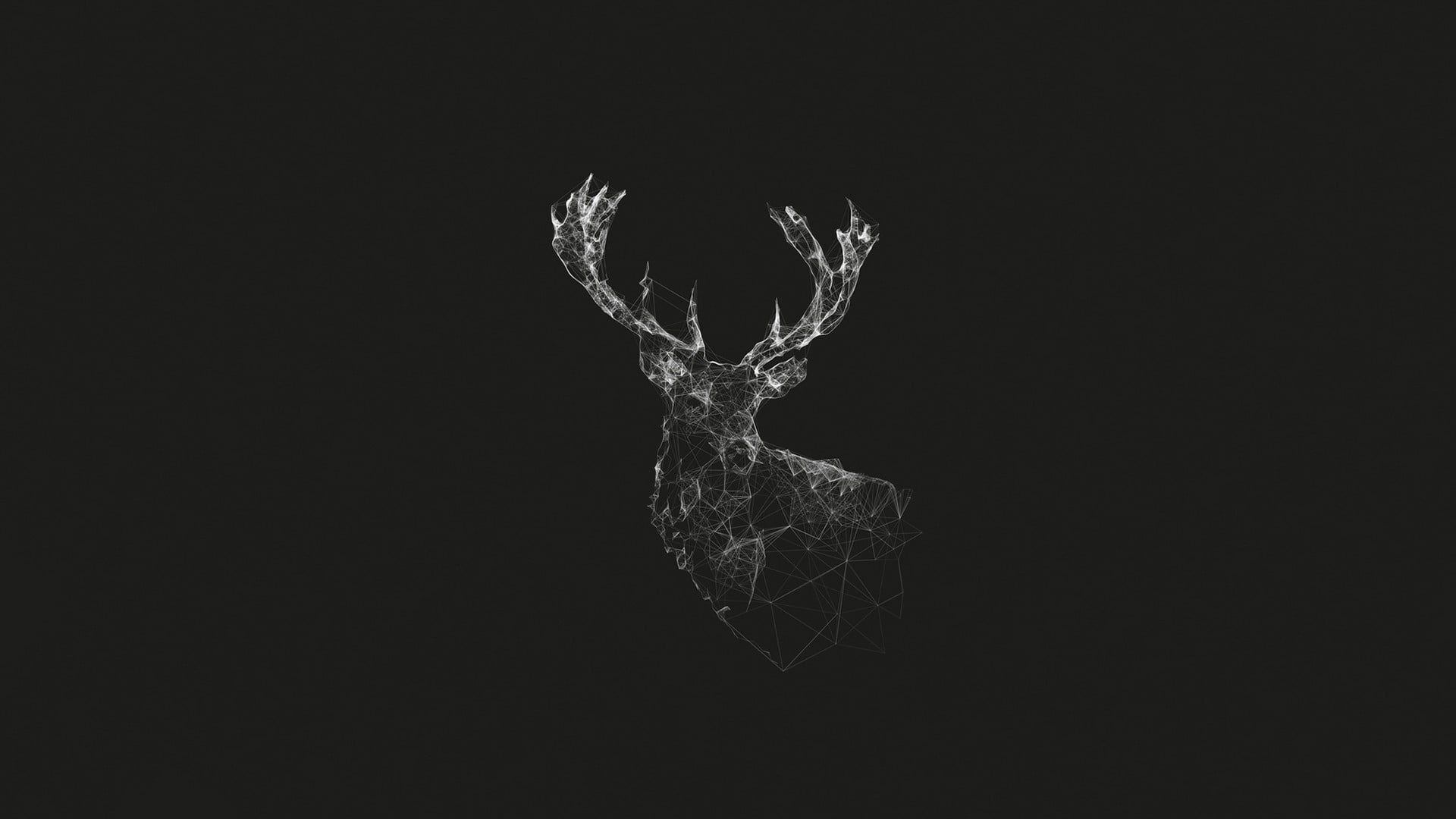 black reindeer illustration, grayscale illustration of reindeer #deer #geometry #wireframe #artwork #mo. Desktop wallpaper, Deer wallpaper, Cute desktop wallpaper