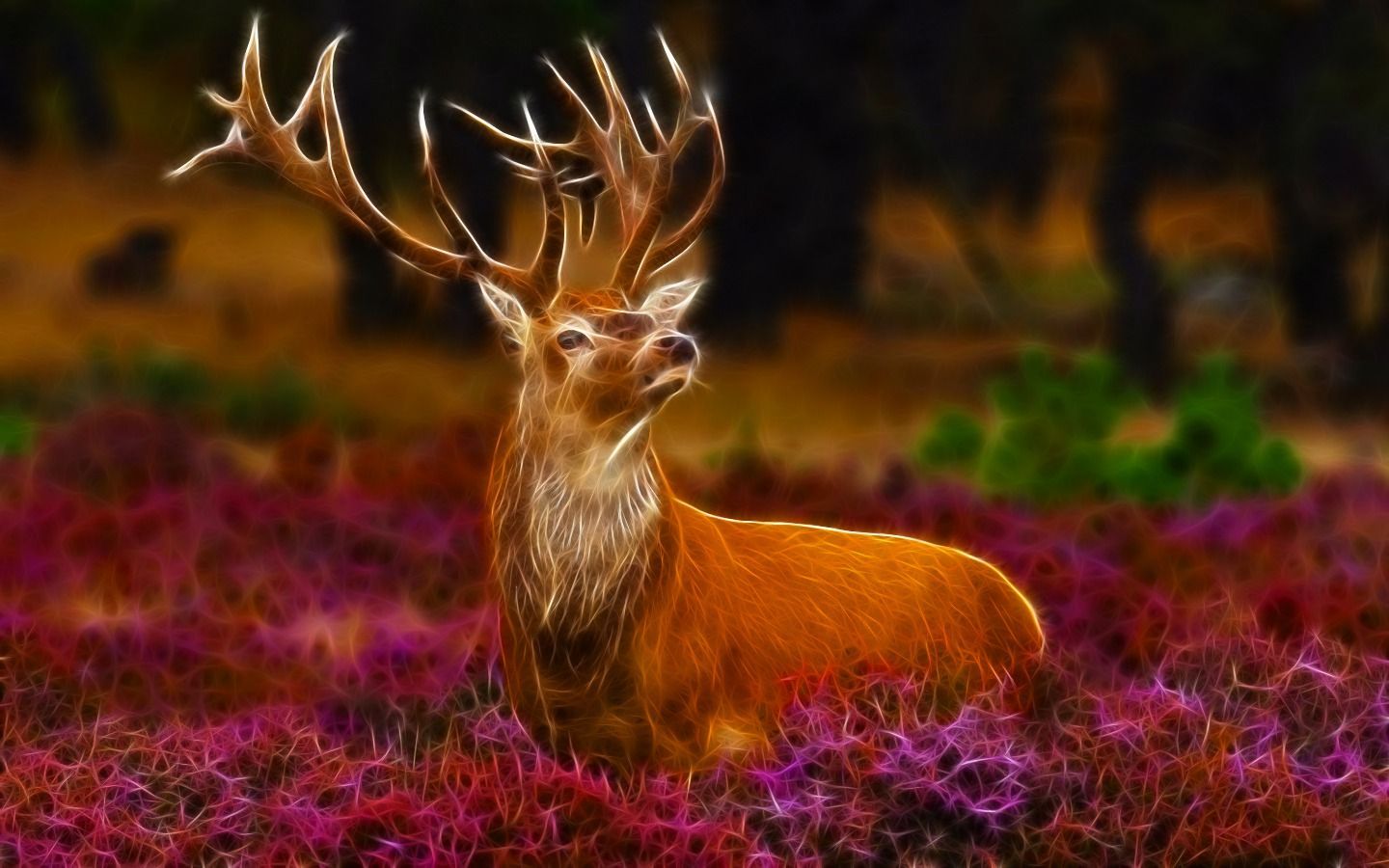 Stag HD Desktop Wallpaper. Stag wallpaper, Desktop wallpaper, Background desktop