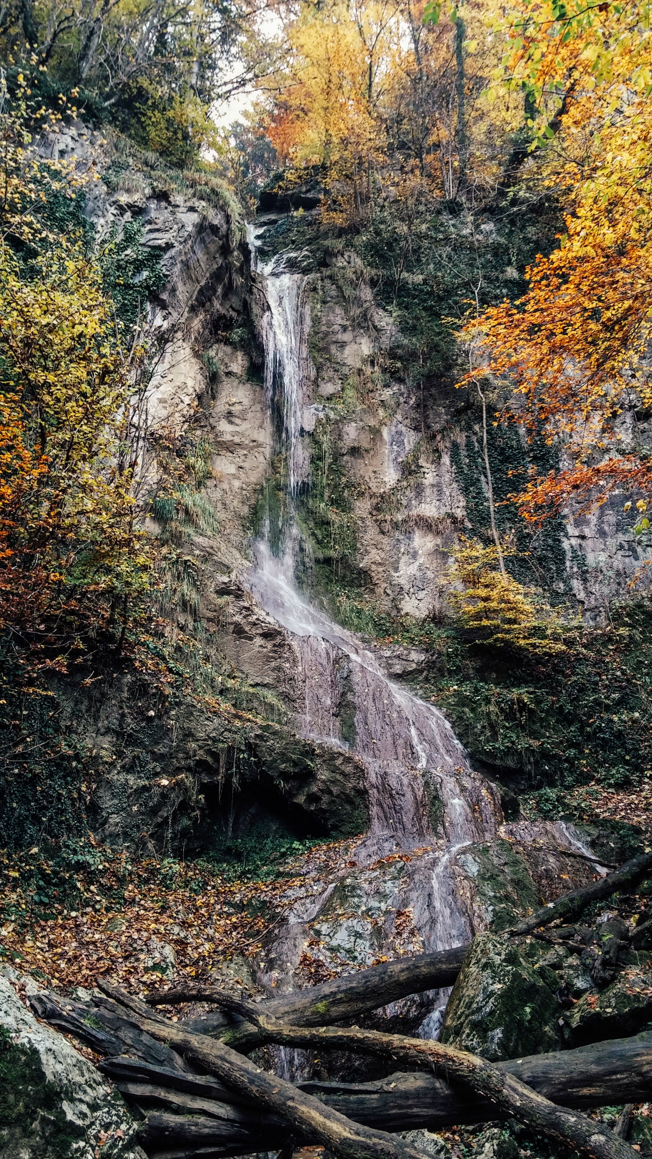 Waterfall in the Woods Austria HD wallpaper