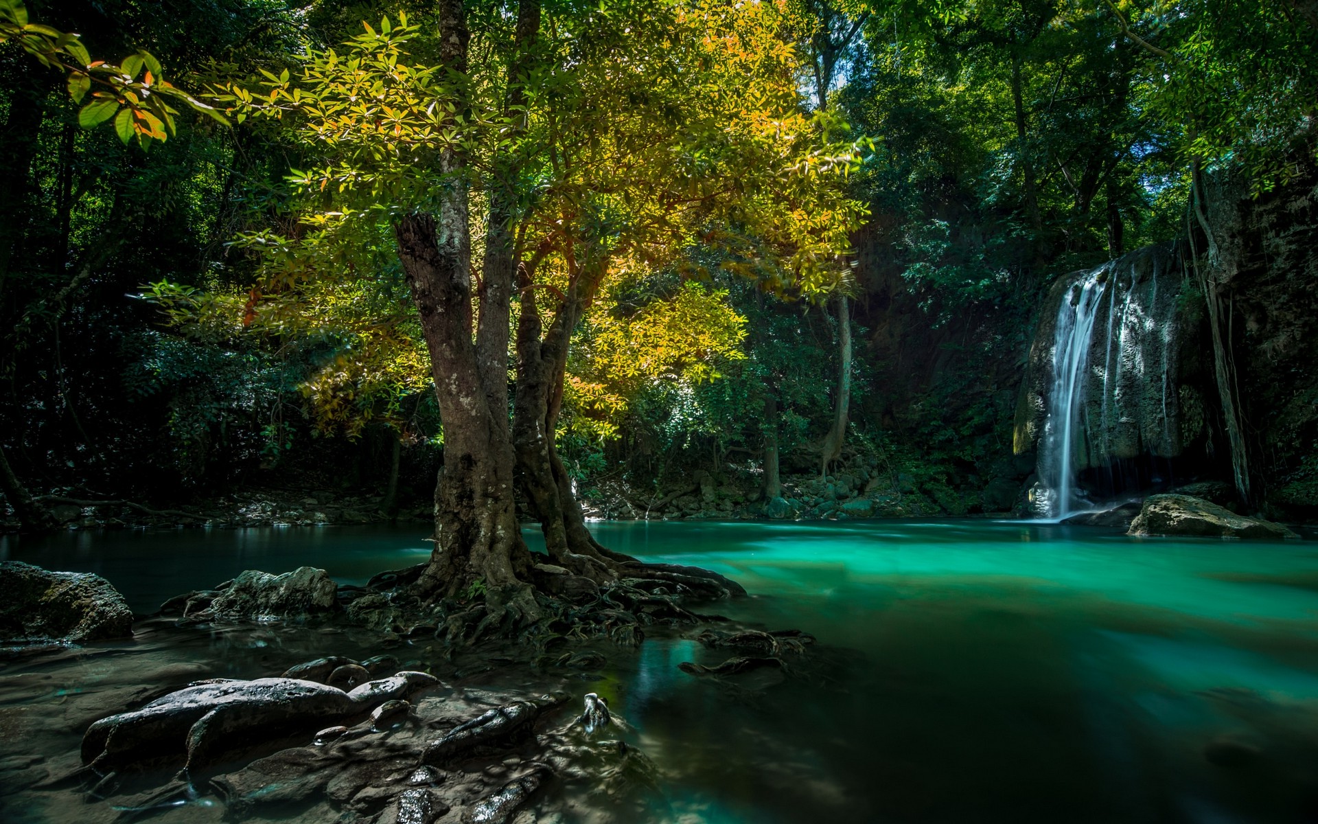 nature, Landscape, Waterfall, Thailand, Trees, Roots, Green, Yellow, Tropical Wallpaper HD / Desktop and Mobile Background