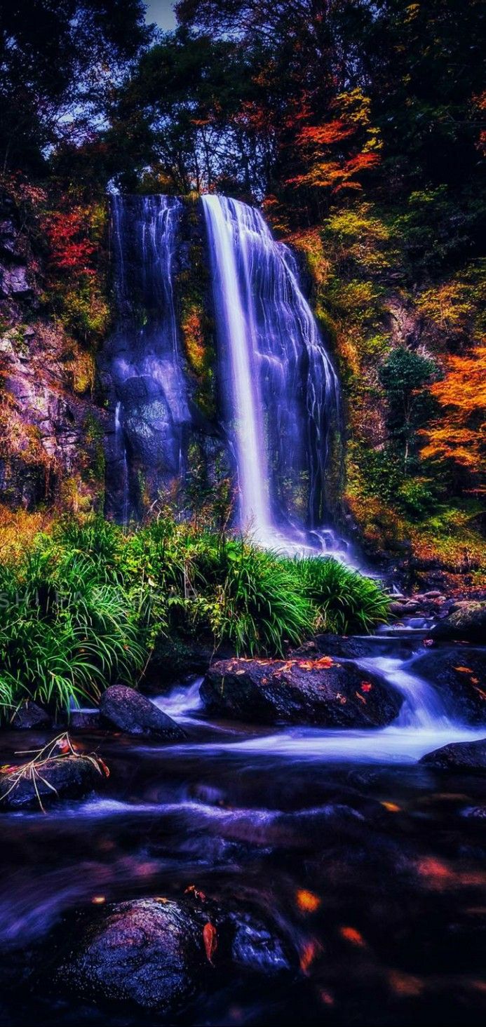 I. Cool wallpaper for phones, HD nature wallpaper, Phone wallpaper