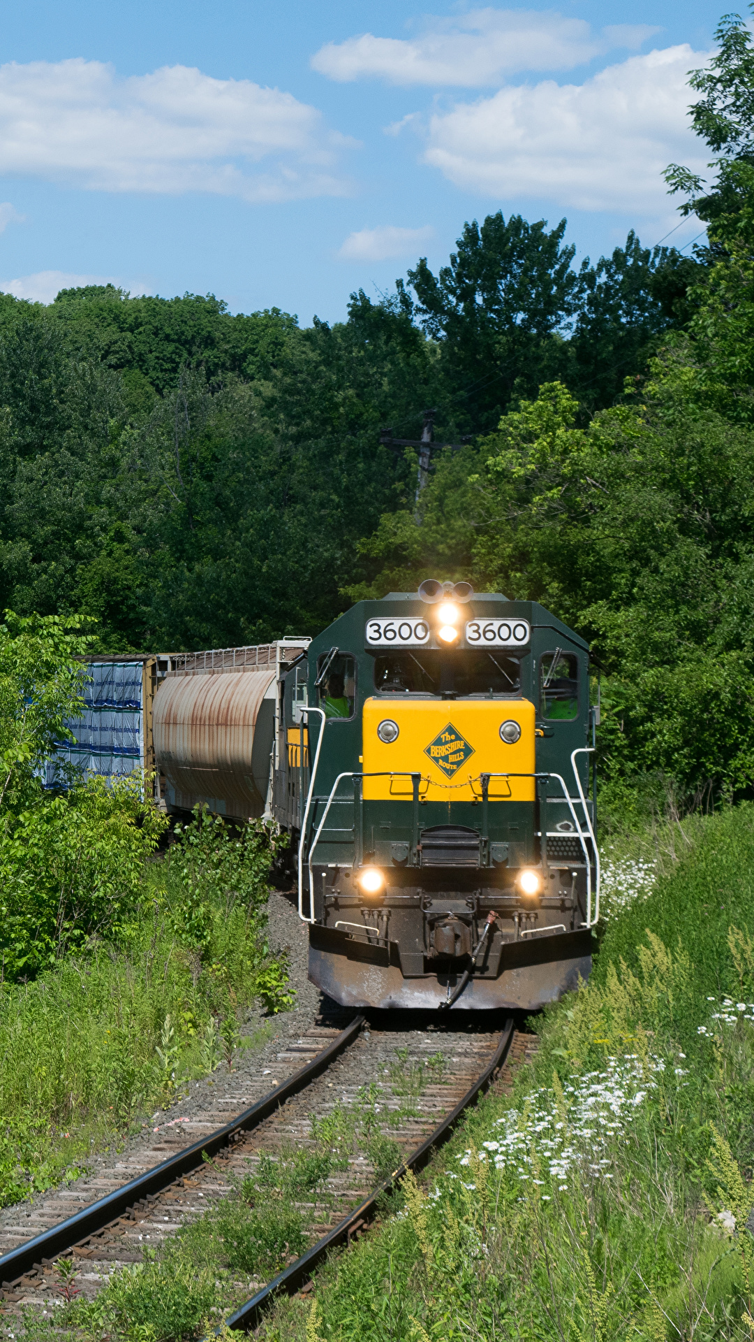 Photos USA Locomotive Massachusetts Nature Trains forest 1080x1920