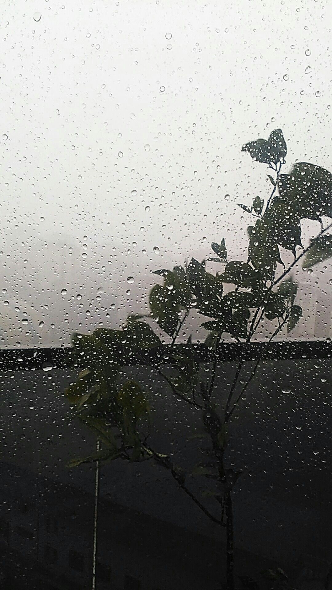 Raining Aesthetic Wallpaper