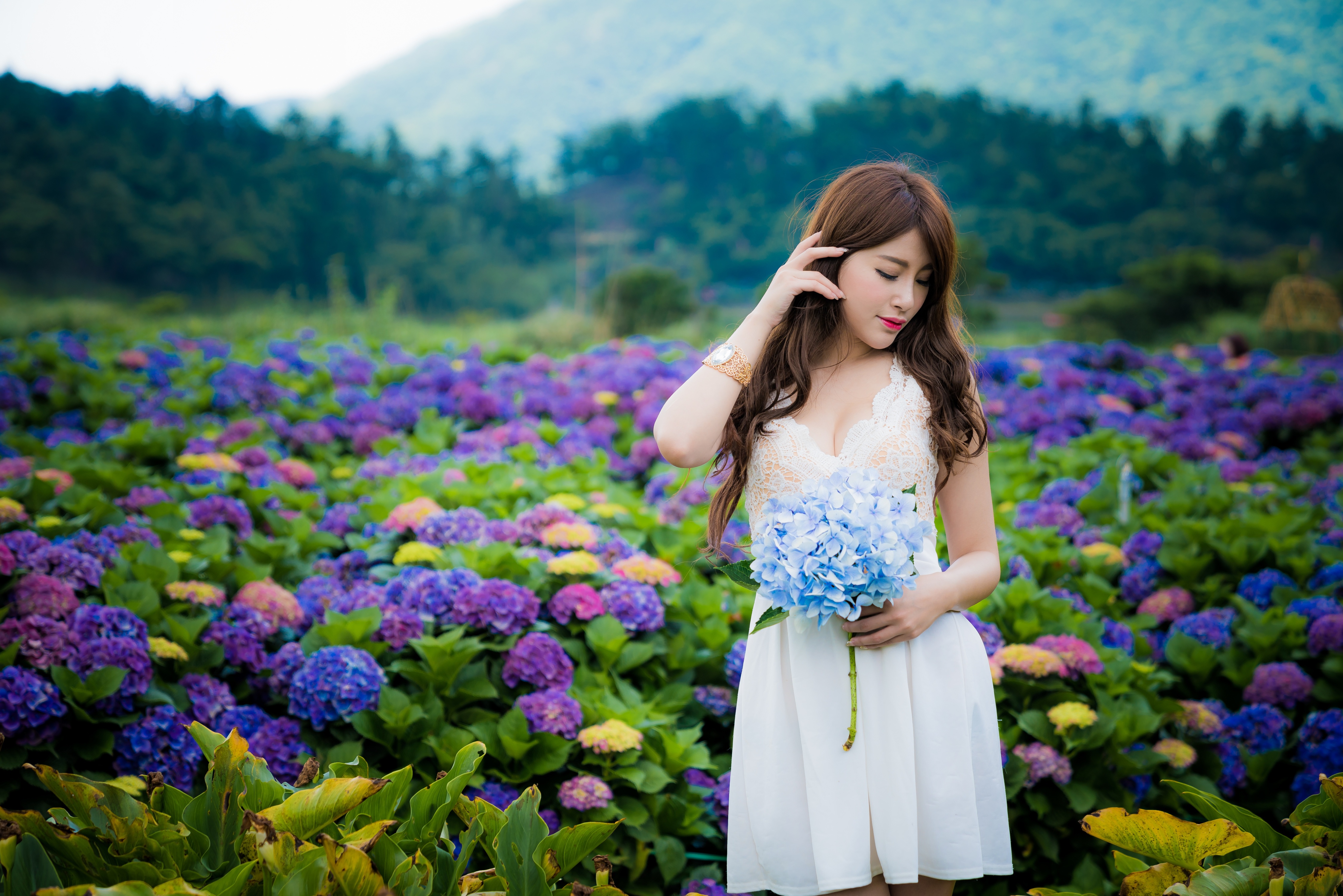 Asian Blue Flower Brunette Depth Of Field Flower Girl Hydrangea Lipstick Model Mood Purple Flower Wh Wallpaper:4500x3002