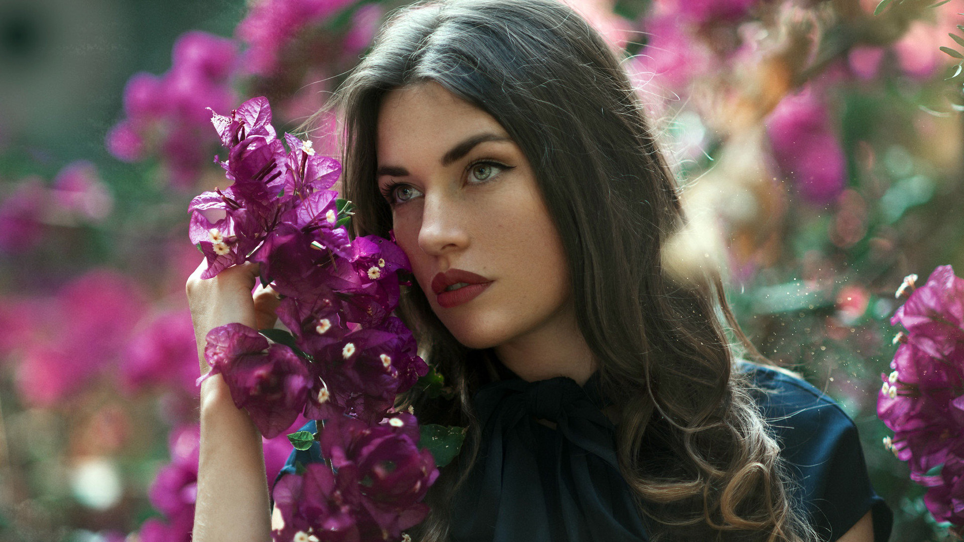 Grey Eyes Girl Model Is Wearing Black Dress Having Dark Purple Flowers In Hand HD Girls Wallpaper