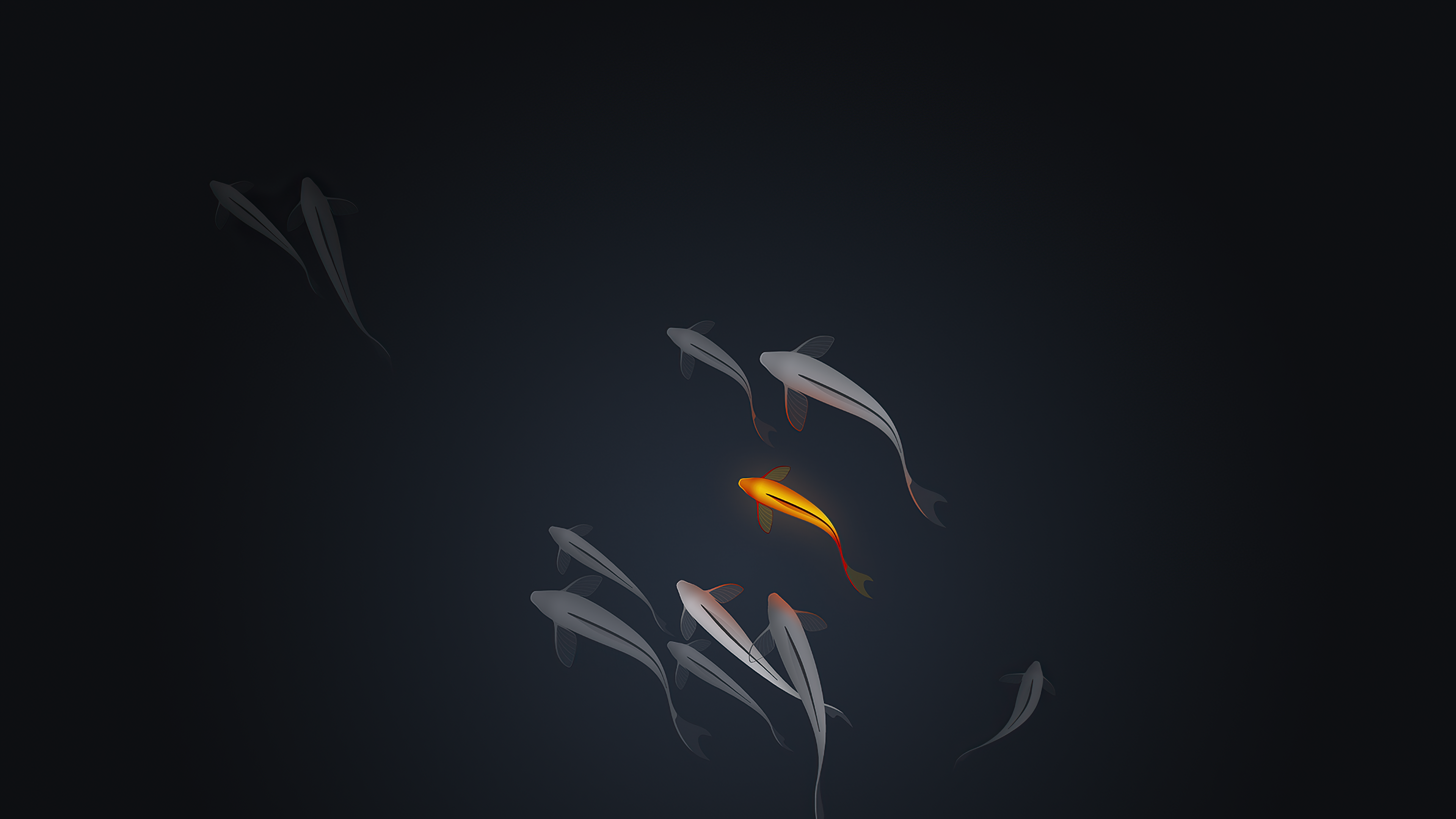 Wallpaper, artwork, fish, animals, minimalism, koi, black, orange, dark 3840x2160