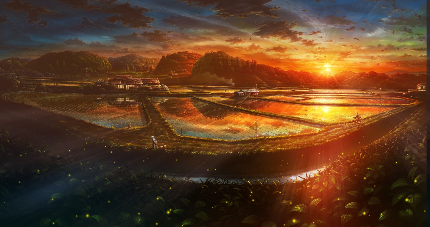 anime, Village, Rice, Sunset Wallpaper HD / Desktop and Mobile Background