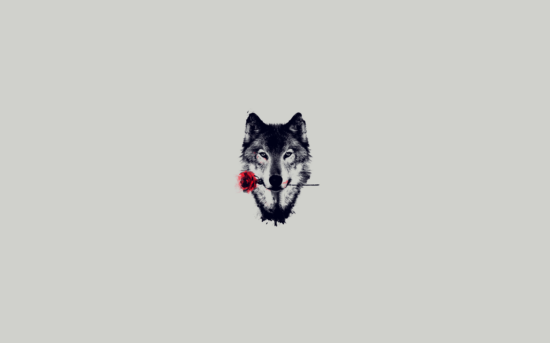 Wolf with Rose HD Wallpaper