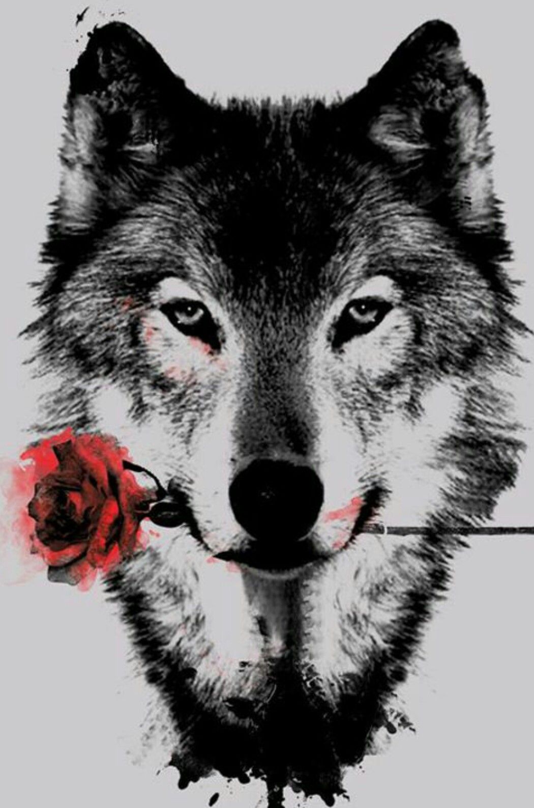 My fav wolf tattoo mez wants to get, wolf in black and white, red rose;). Wolf tattoo design, Wolf tattoos, Wolf tattoo