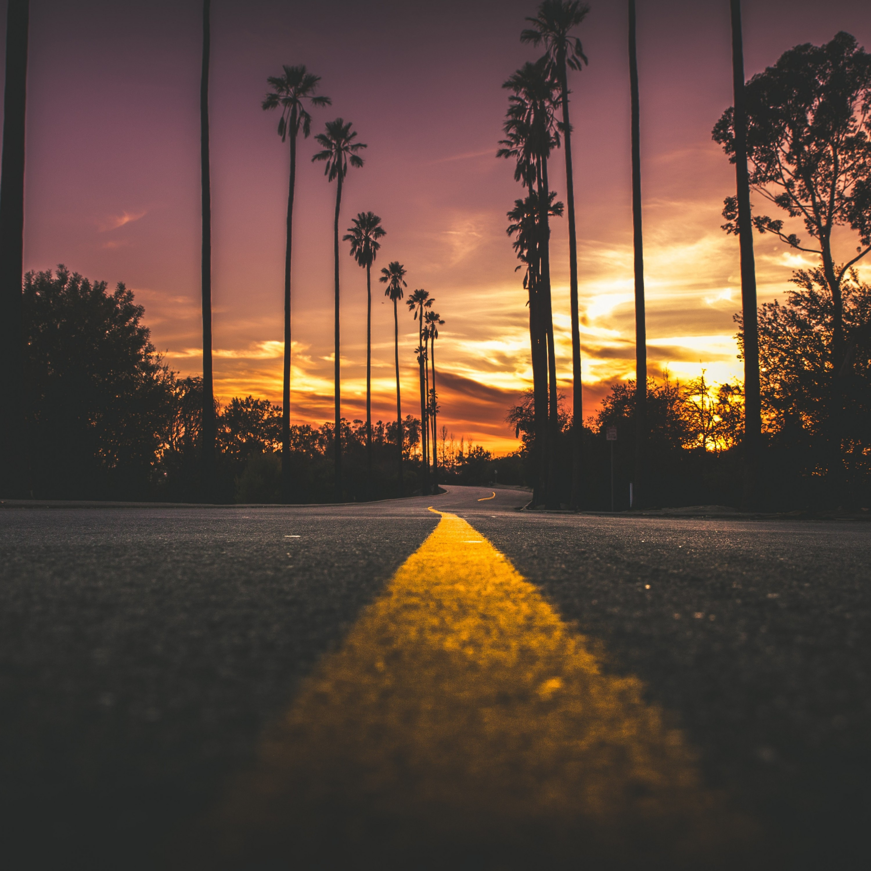 Download 3000x3000 Sunset, Dawn, Road, Scenic, Trees, Travel Wallpaper