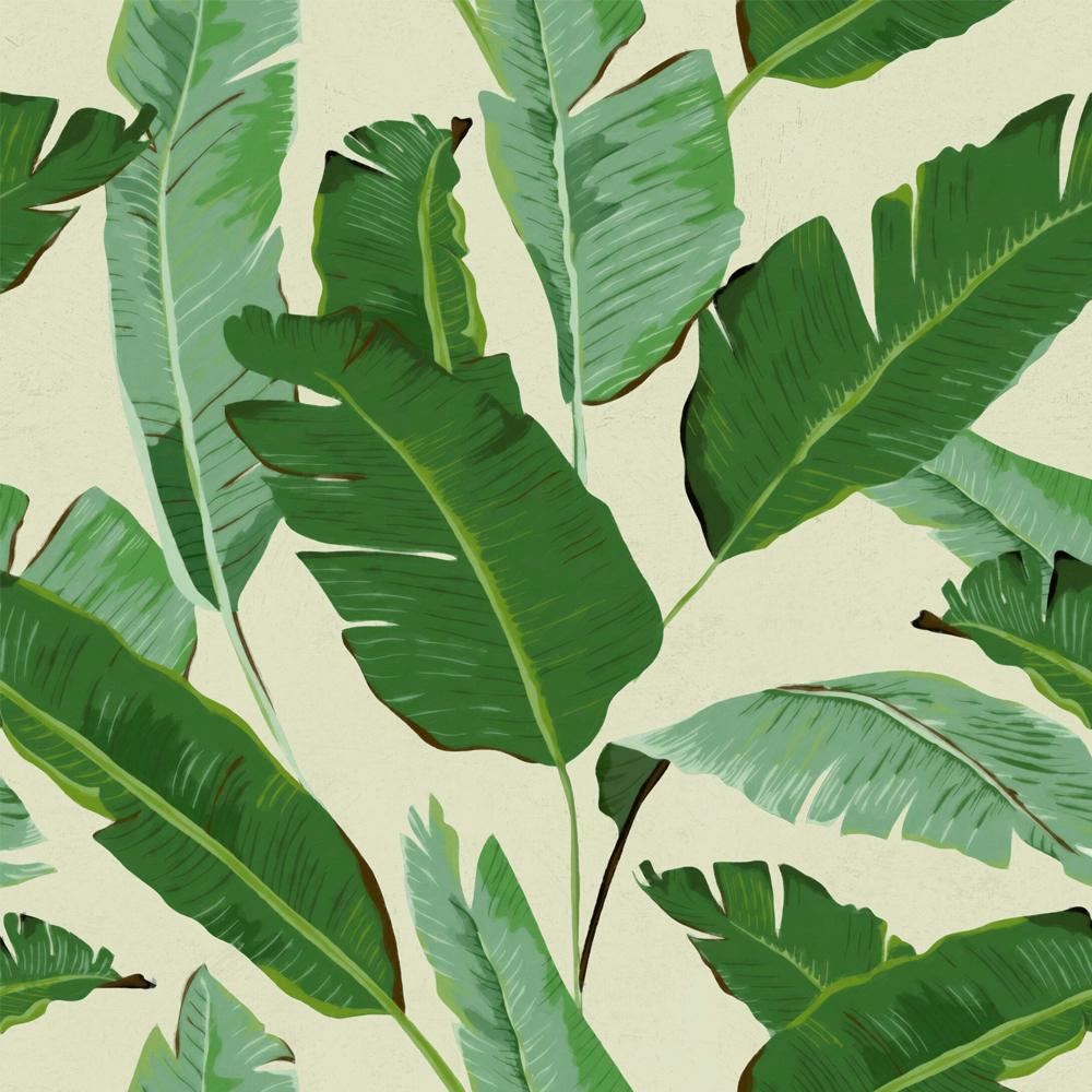 Banana Leaves Wallpaper