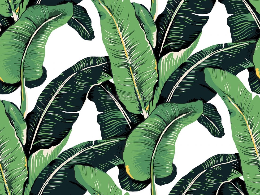 Green Banana Leaf Pattern Wallpaper Mural • Wallmur®
