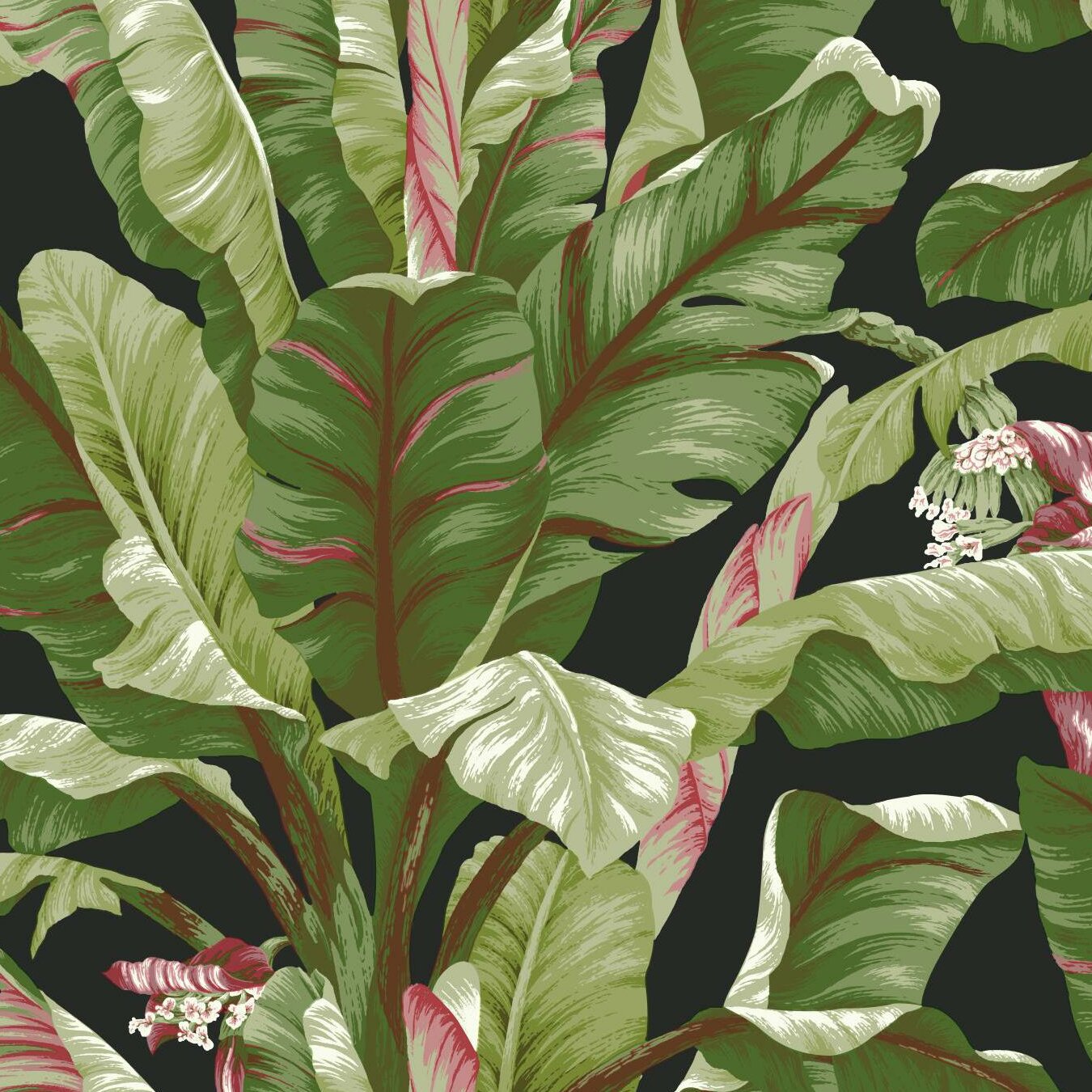 Beachcrest Home Billups 27' x 27 Banana Leaf Wallpaper Roll & Reviews