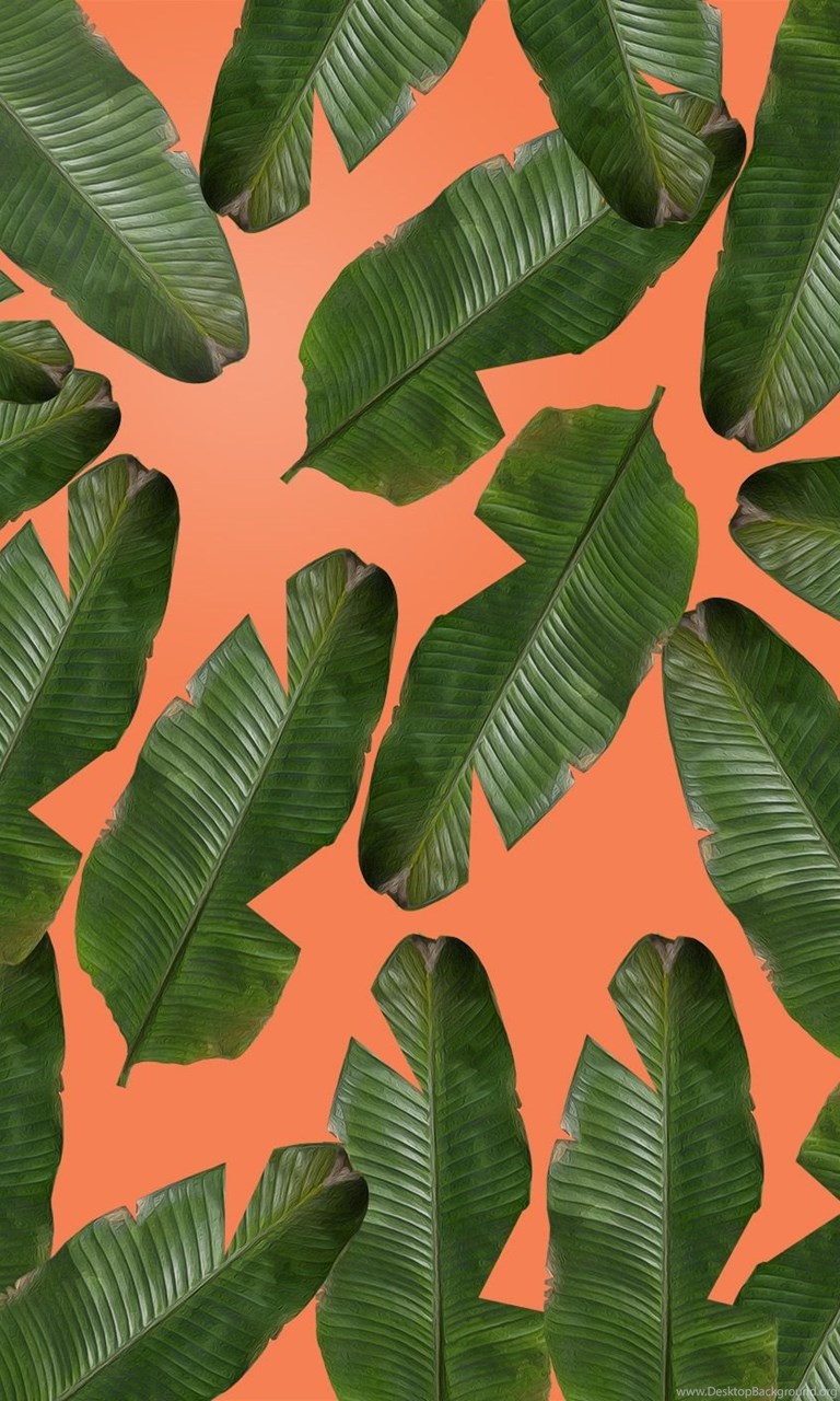 Banana Leaf Wallpaper Desktop Background