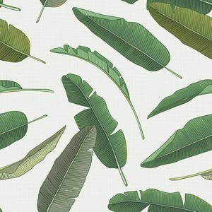 Banana Leaf Wallpaper For FREE
