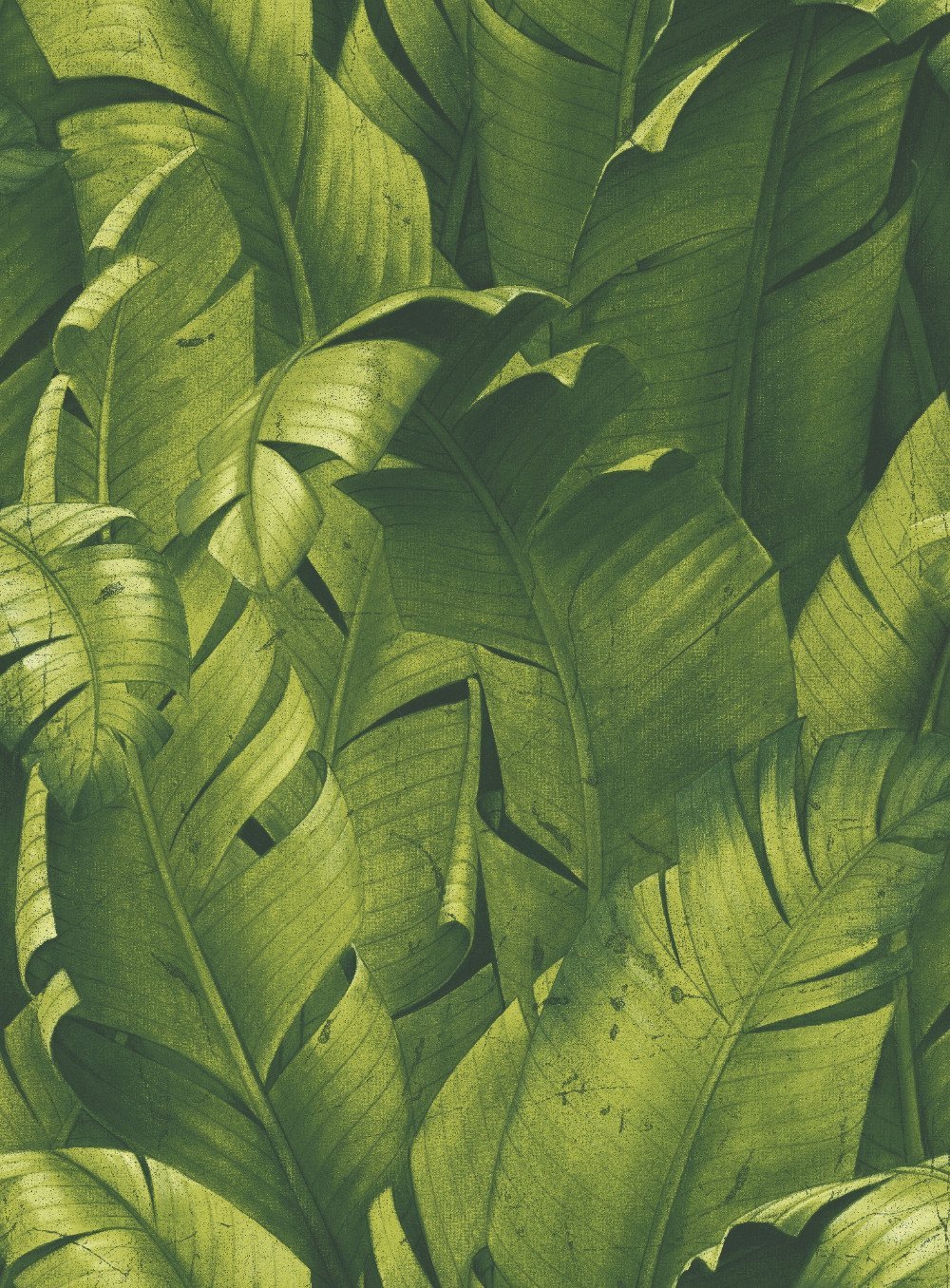 Tropical Banana Leaf Peel And Stick Wallpaper In Green By NextWall