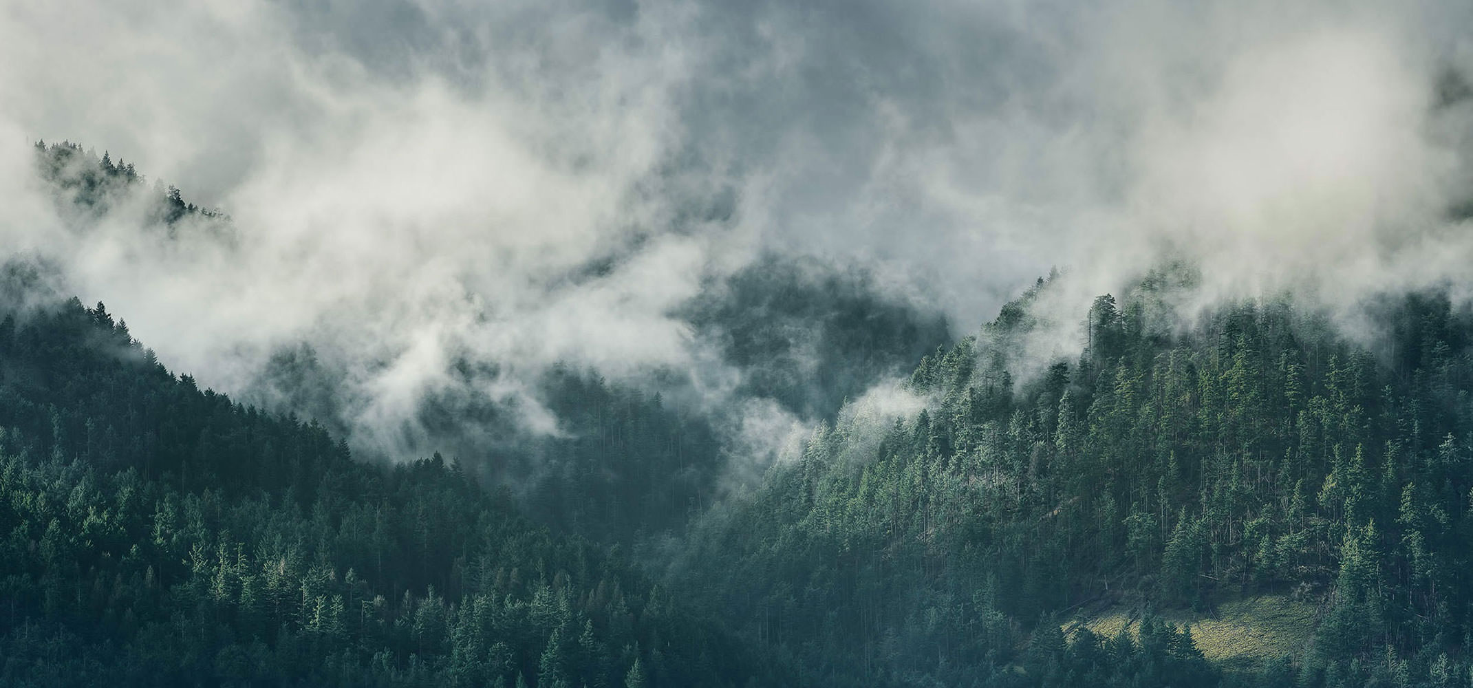 Beautiful Dual Monitors Desktop Wallpaper