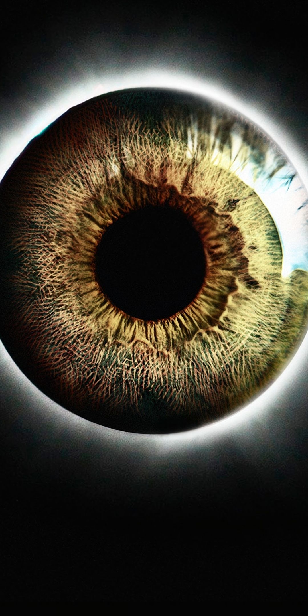 Premium AI Image | Woman's eye with yellow pupil on yellow background  ophthalmologist's day generative AI