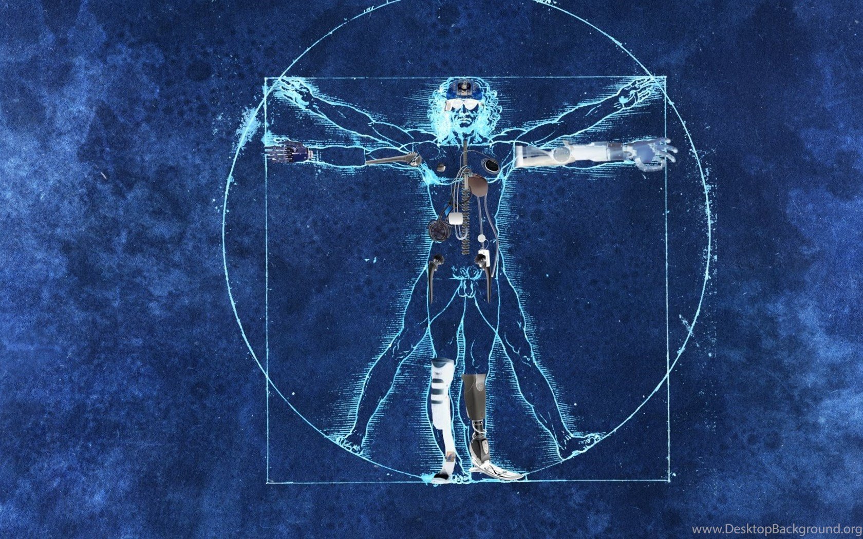 Reengineering The Anatomy Of The Vitruvian Man YouTube Desktop Background