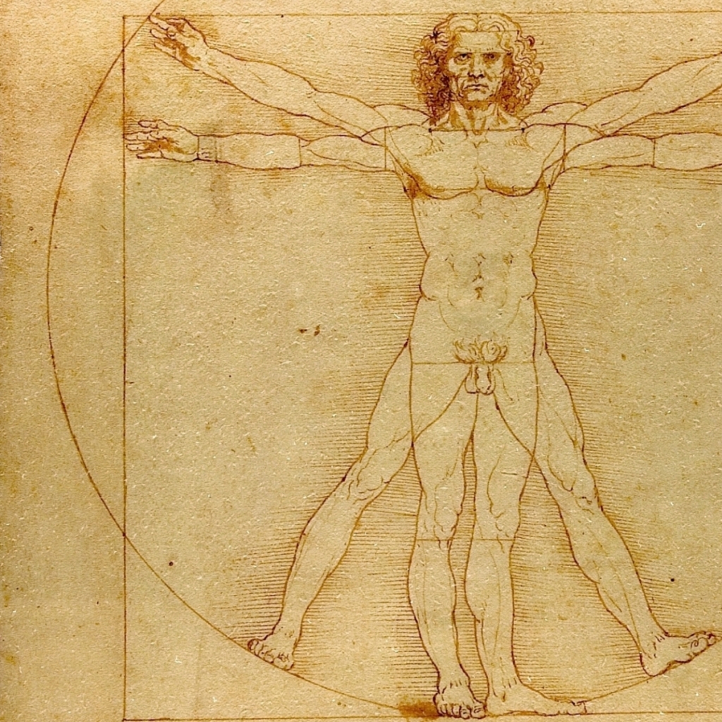 vitruvian man wallpaper 1280x800